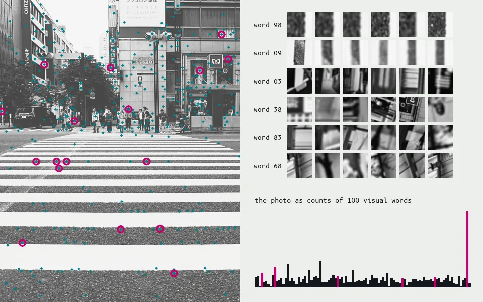 873 SIFT descriptors are clustered into a vocabulary of 100 visual words (rows: patches assigned to six of them), and the whole photo becomes a histogram of word counts, ignoring where anything is.