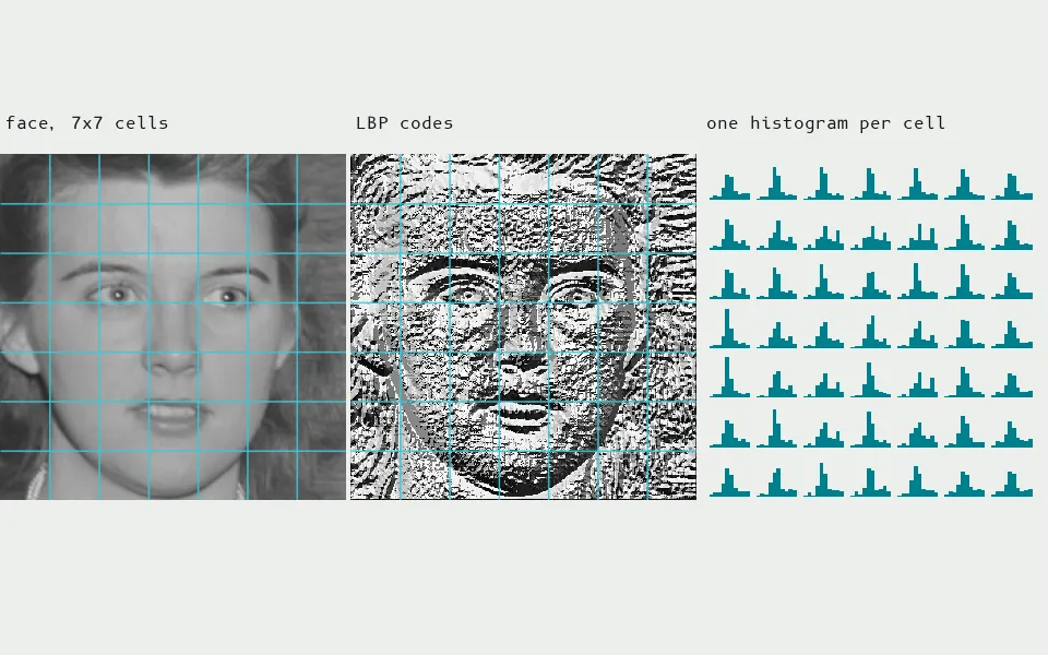 Local binary patterns rewrite each pixel as an 8-bit code (is each neighbour brighter?); the face becomes 49 histograms of those codes, one per cell, which is what an LBP face recognizer compares.