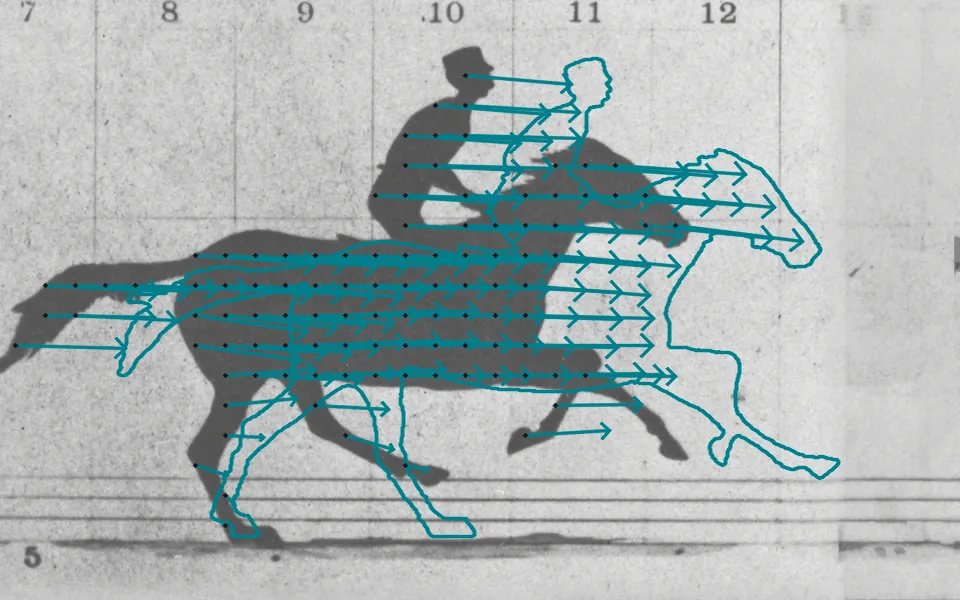 Dense optical flow (DIS) estimates, for every pixel of frame 5, where it went in frame 6; drawn from the horse's pixels, the arrows land on frame 6's outline (cyan), a median shift of 156 px, about 22 inches of track in 1/25 s; on the plain backdrop the motion is undetermined, so no arrows are drawn there.