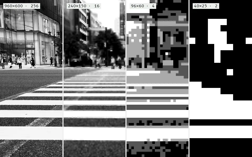 The crosswalk sampled and quantized four ways, left to right (grid · gray levels): a 960×600 grid with 256 gray levels, 240×150 with 16, 96×60 with 4, and 40×25 with only black and white.