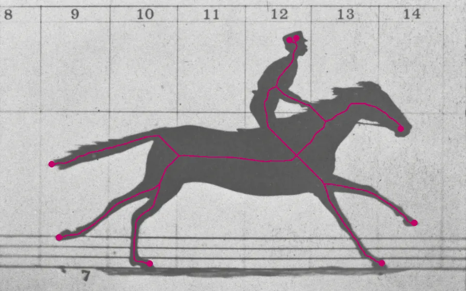 Thinning erodes the silhouette from every side until only a one-pixel-wide medial line is left, a stick figure that keeps the horse's topology: 8 limbs and extremities end in the dots, after spurs under 40 px are pruned.